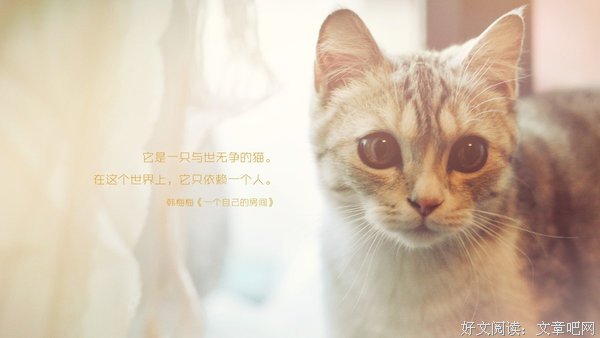 《你是最好的自己》名句欣赏大全