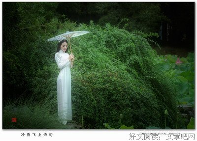 关于莫愁的语句