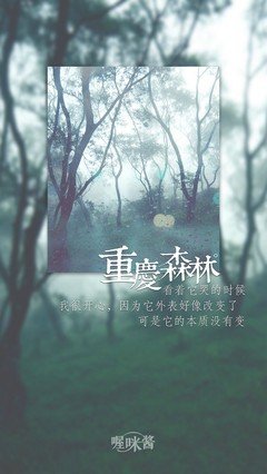 最经典的《重庆森林》经典台词大全