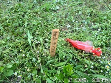 关于刘伶的名言