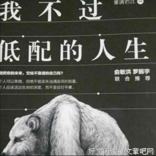 抱歉，我不过低配的人生
