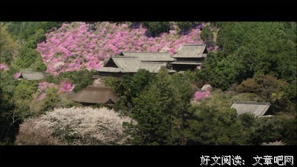 《投靠女与出走男》经典观后感10篇