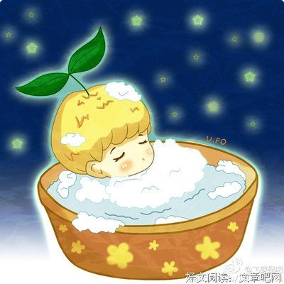 有关卞白贤的美句摘抄