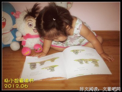 荒野的小蔷薇