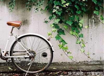什么样的女人会缺乏安全感？