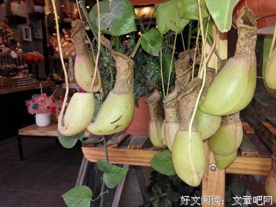 描写明里暗里的经典句子