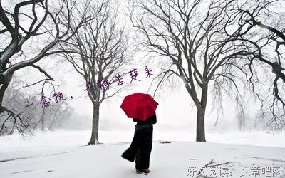 关于恭喜发财的唯美语录