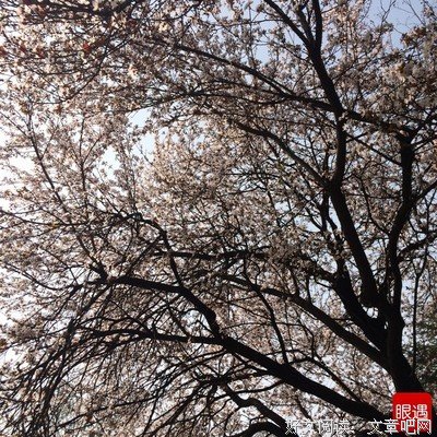 精彩的人生不会拒绝缤纷