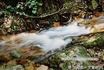 千屿千寻读后感精选10篇