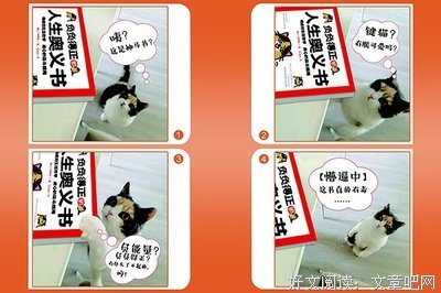 《负负得正的人生奥义书》的读后感10篇