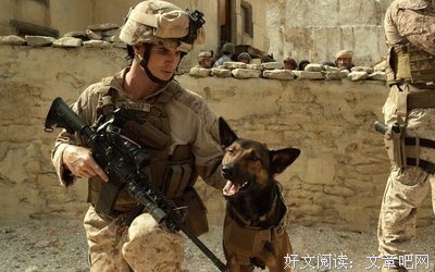 《军犬麦克斯》观后感10篇