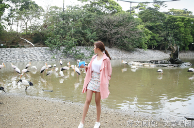 15条关于波西米亚的经典语句