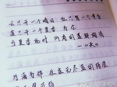 查查的句子