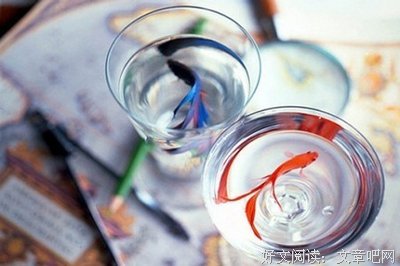 《时间海》经典语录