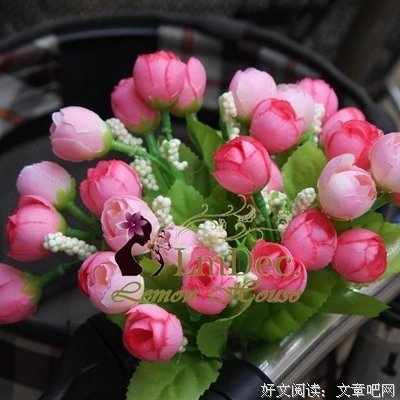 关于藤花的座右铭