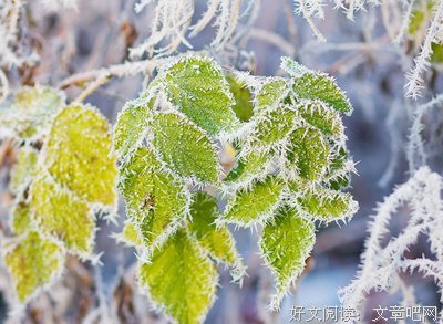 关于难言之隐名言名句
