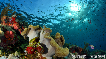 关于汪洋大海的格言