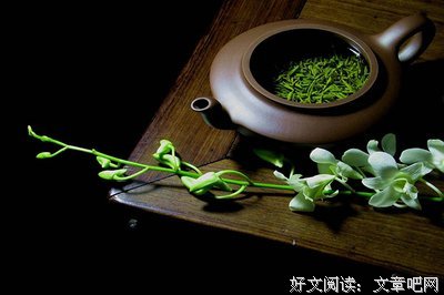 关于碧螺春名言名句