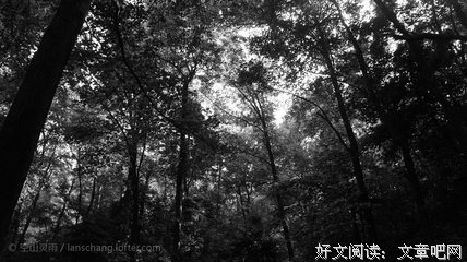关于灵雨的格言