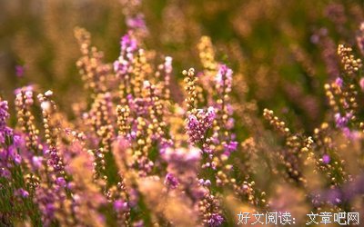 最全的《拳皇》好段摘抄大全