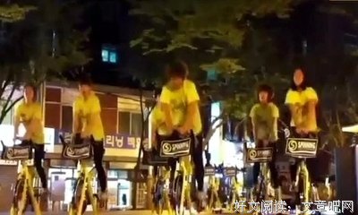 最全的《肥鸟当自强》经典的句子