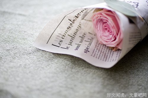糟糟的语句摘抄_关于糟糟的语句