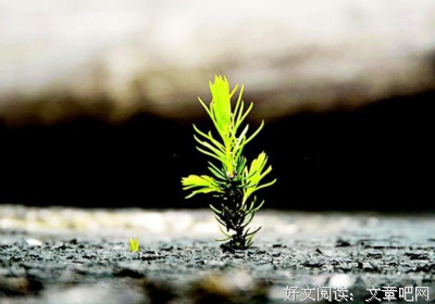 暴风骤雨的语句摘抄_关于暴风骤雨的语句