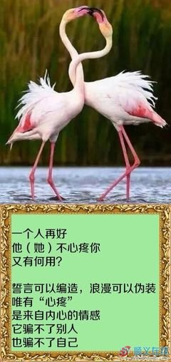 有一种感情叫做，我心疼你花钱