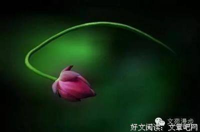 散文连苑丨 与文字牵手，漫游生命之舟