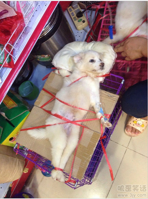 管不住下半身的父亲