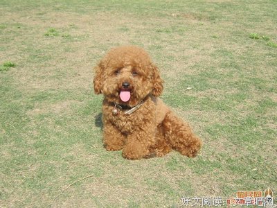 五一假期对我来说，无非是换个日子XXX