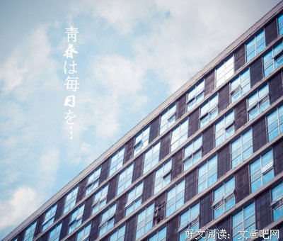 单反，中国大爷最后的倔强