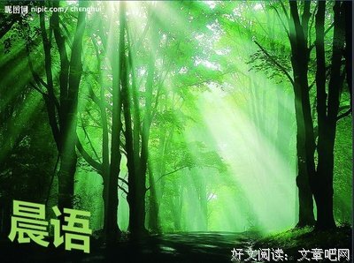 《侠盗联盟》经典观后感10篇