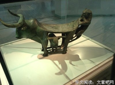 《心花朵朵》的读后感10篇