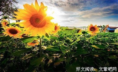 珍妮特·温特森名言名句