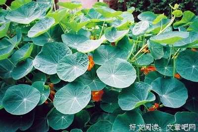 15条关于自以为是的经典语句