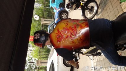 最新的《贝壳》好段摘抄