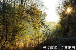 让我们的生活充满阳光