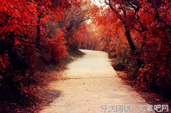 爱的本质是一种智慧（经典好文）