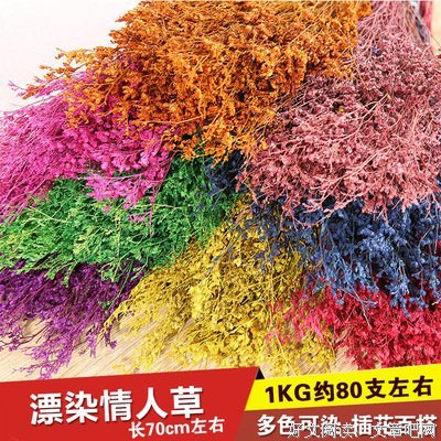 《幸运情人草》观后感10篇