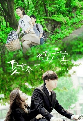 《夏有乔木 雅望天堂》经典影评10篇