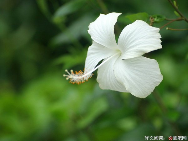 一个癌症患者的自白
