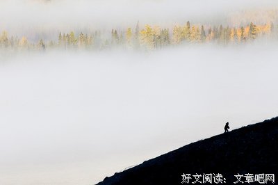 关于蜻蜓点水的唯美语录