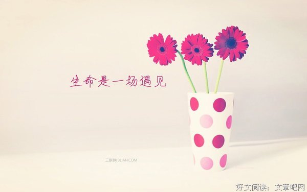 关于生年的名句摘抄