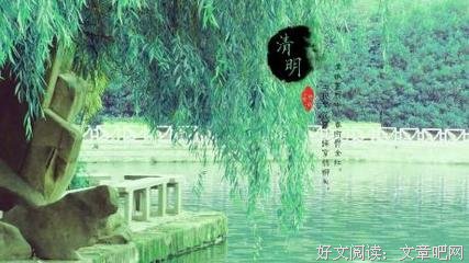 最全的《落花时节又逢君》语录摘抄大全