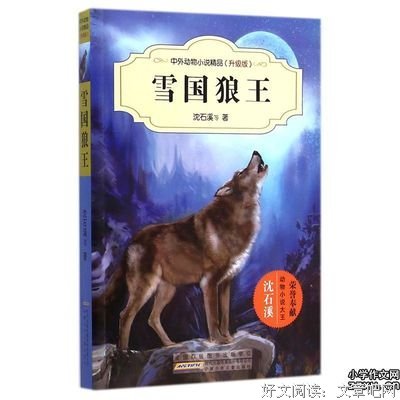最经典的《雪国》语录摘抄大全