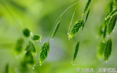 十之八九的名句_关于十之八九的名句
