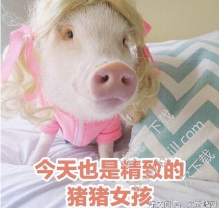 你身边那个，看起来精致的女孩