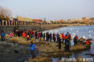 夜伴丨当爱遇见爱，会开出世上最美的花