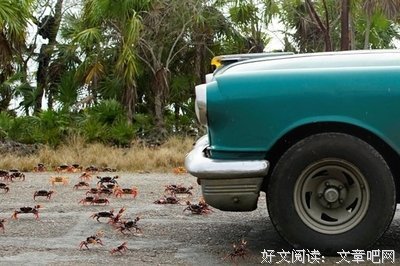15条关于数以百万计的经典语句